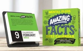 Amazing Facts from Mental Floss 2023 Day-to-Day Calendar product